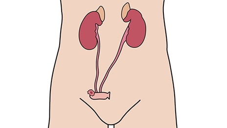 요루란 무엇인가?